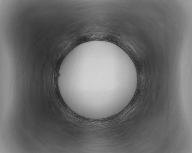X0000110991250200906191103