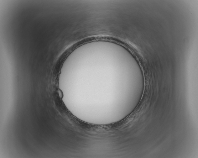 X0000110991255200906191103