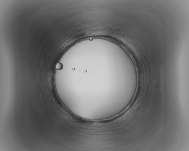 X0000110991265200906191103