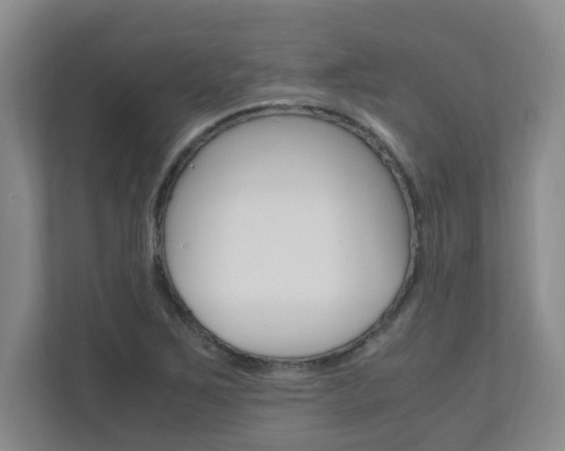 X0000110991267200906191103