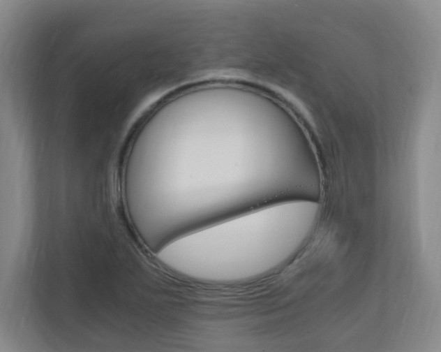 X0000110991271200906191103