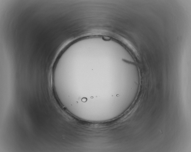 X0000110991275200906191103