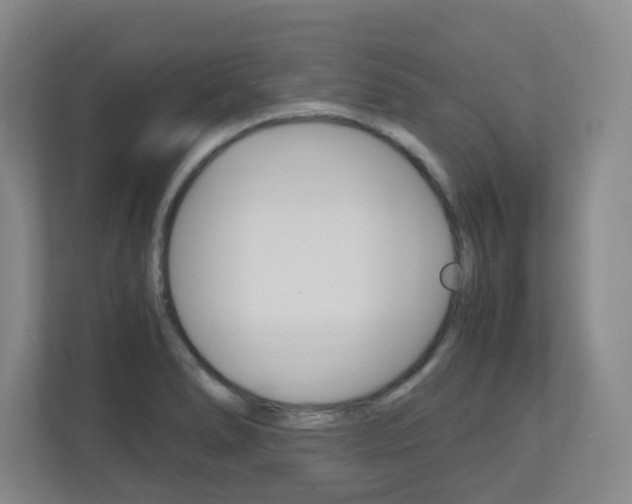 X0000110991278200906191103