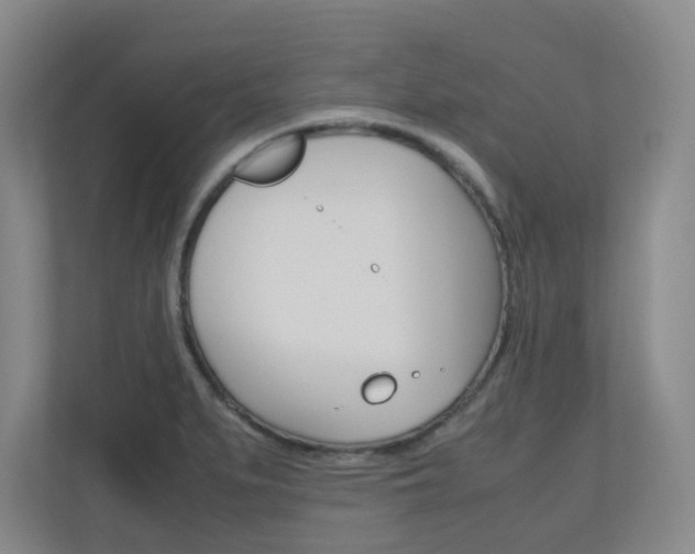 X0000110991279200906191103