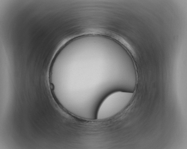 X0000110991283200906191103