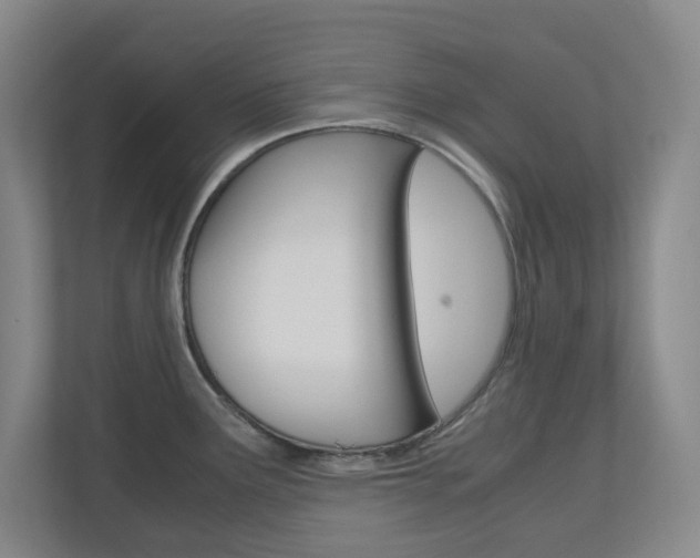 X0000110991291200906191103