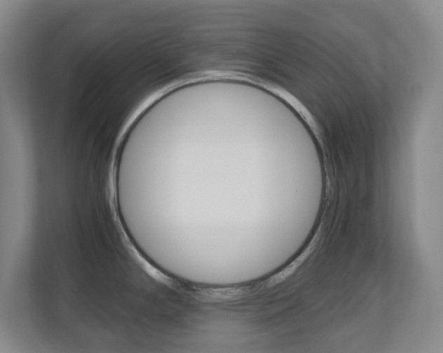 X0000110991294200906191103