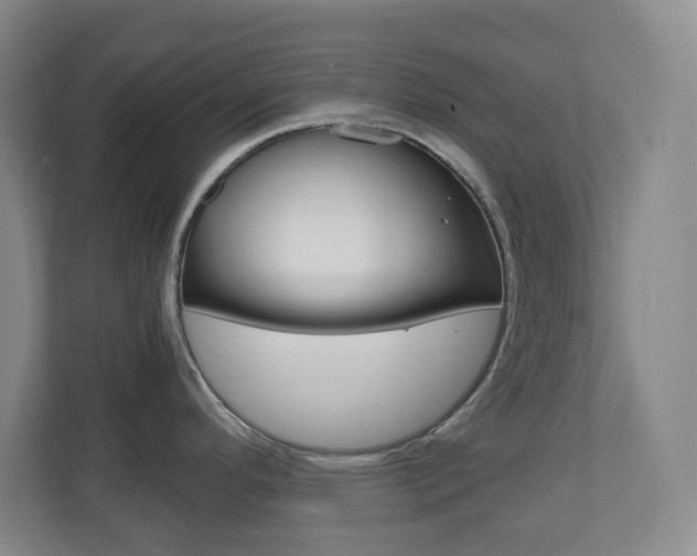 X0000110991296200906191103