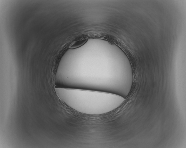 X0000110991297200906191102
