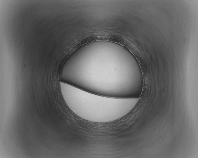 X0000110991298200906191102