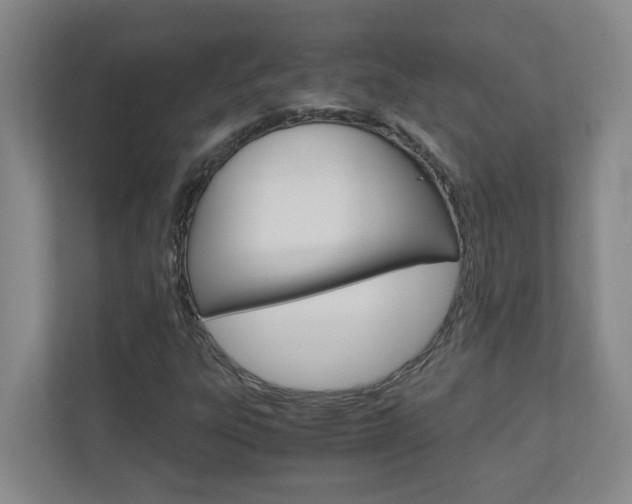 X0000110991303200906191102
