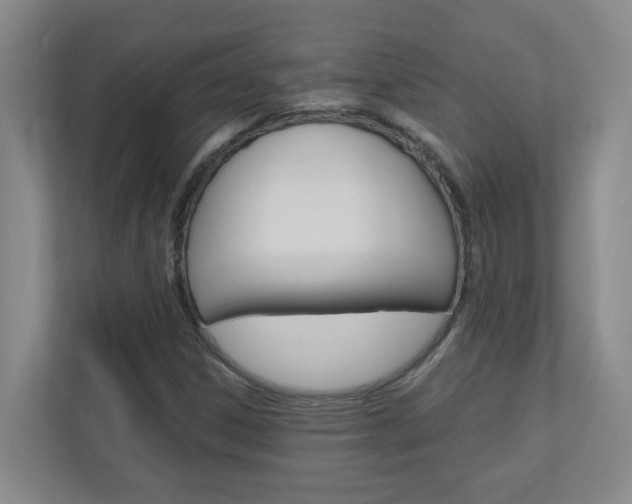 X0000110991306200906191102