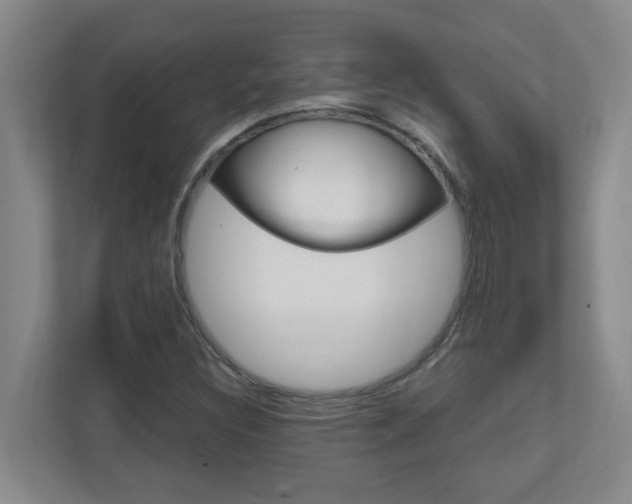 X0000110991308200906191102