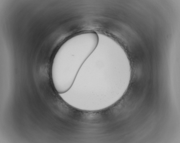 X0000110991314200906191102