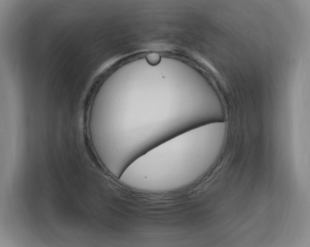 X0000110991315200906191102