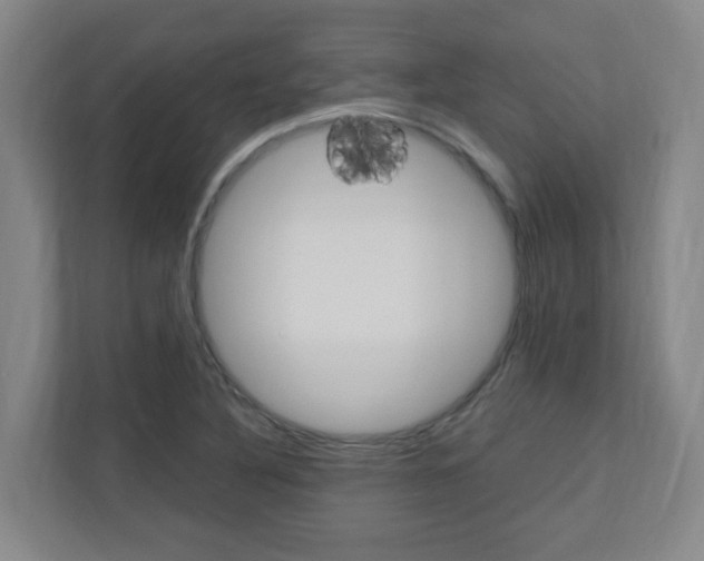 X0000110991316200906191102