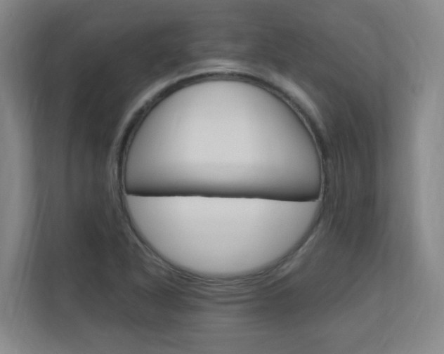 X0000110991318200906191102