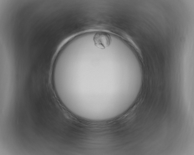 X0000110991320200906191102