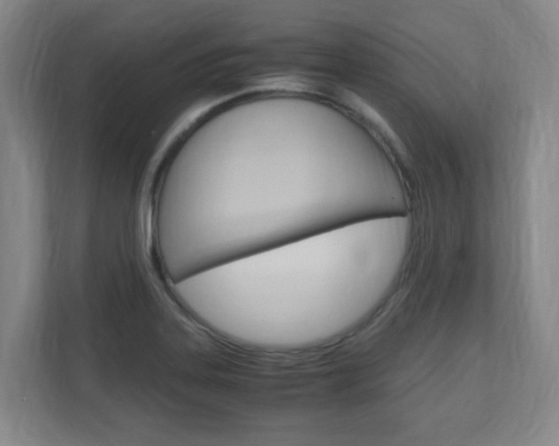 X0000110991323200906191102