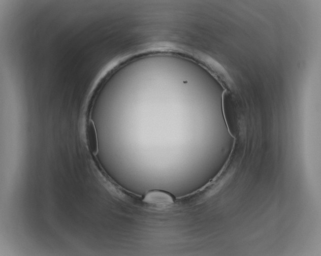 X0000110991326200906191102