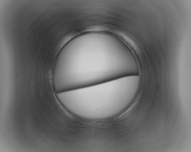 X0000110991329200906191102