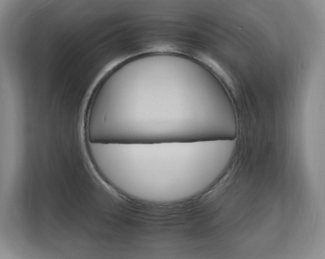 X0000110991331200906191102