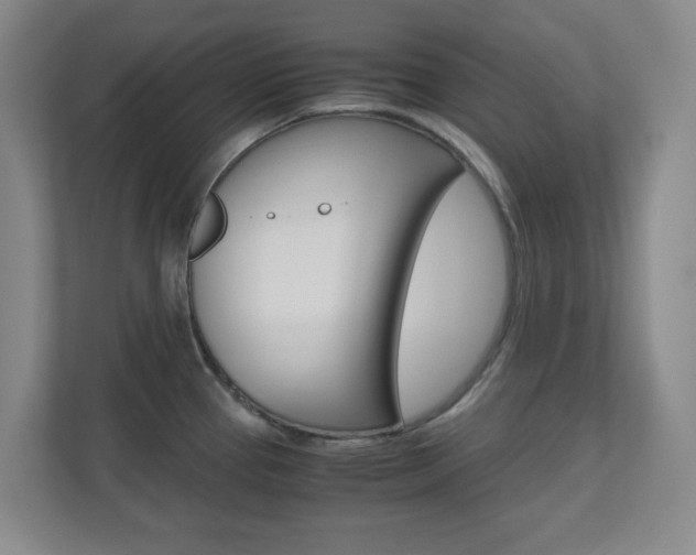 X0000110991337200906191103