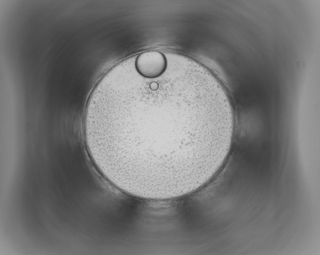 X0000110991338200906191103
