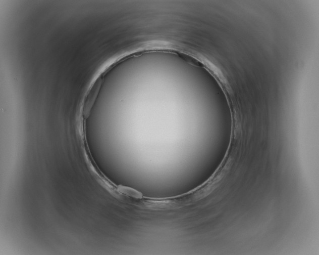 X0000110991342200906191103