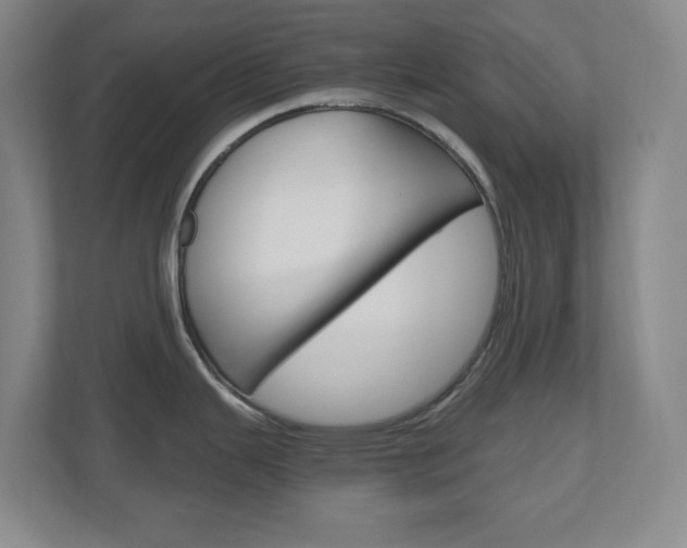 X0000110991343200906191103