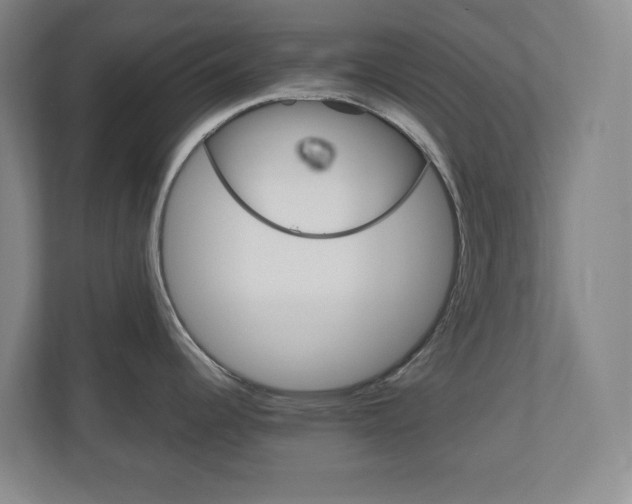 X0000110991344200906191103