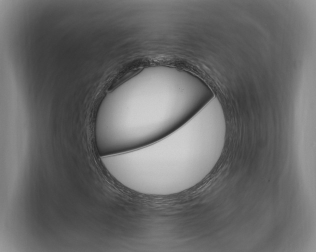 X0000110991345200906191102