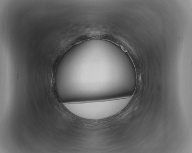 X0000110991348200906191102