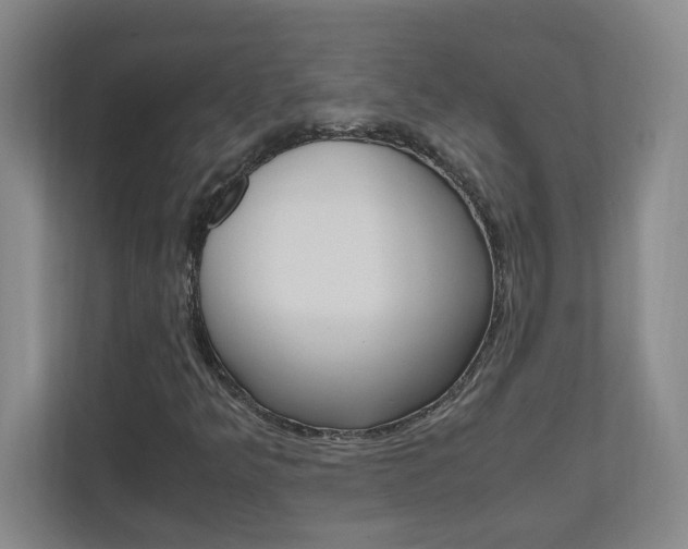 X0000110991349200906191102