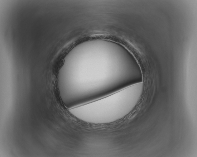 X0000110991351200906191102