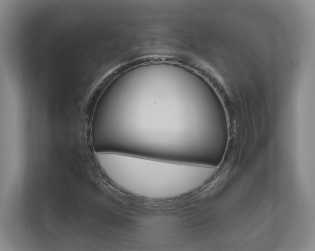 X0000110991352200906191102