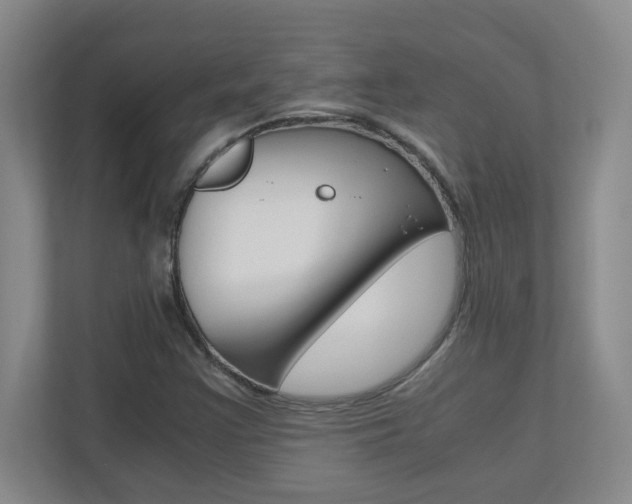 X0000110991355200906191102