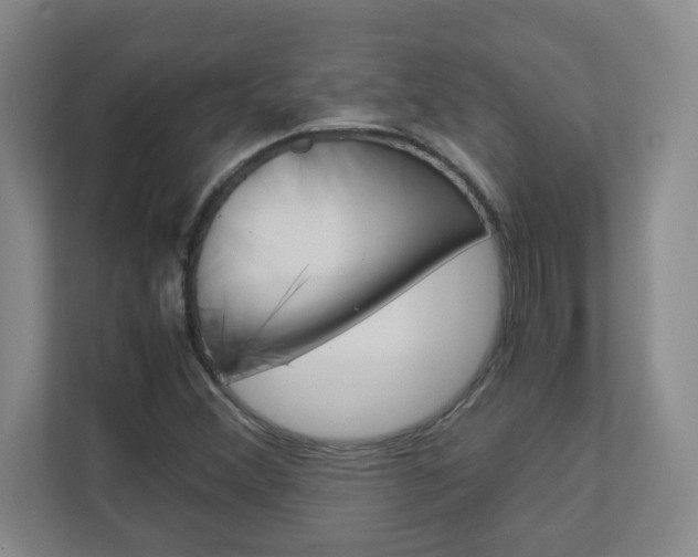 X0000110991356200906191102