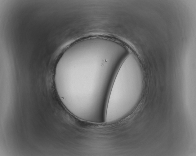 X0000110991359200906191102