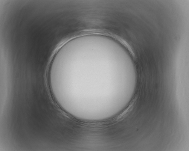 X0000110991365200906191102
