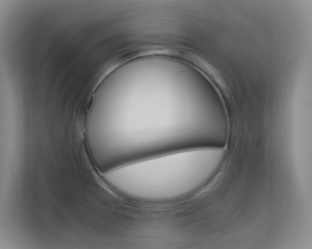 X0000110991377200906191102