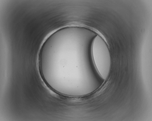 X0000110991387200906191101