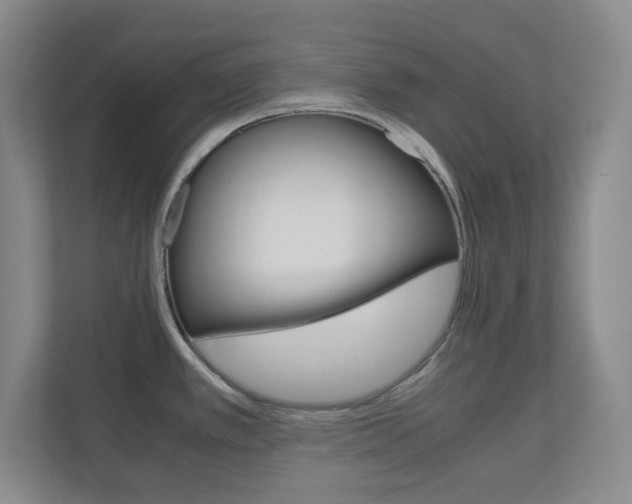X0000110991389200906191101