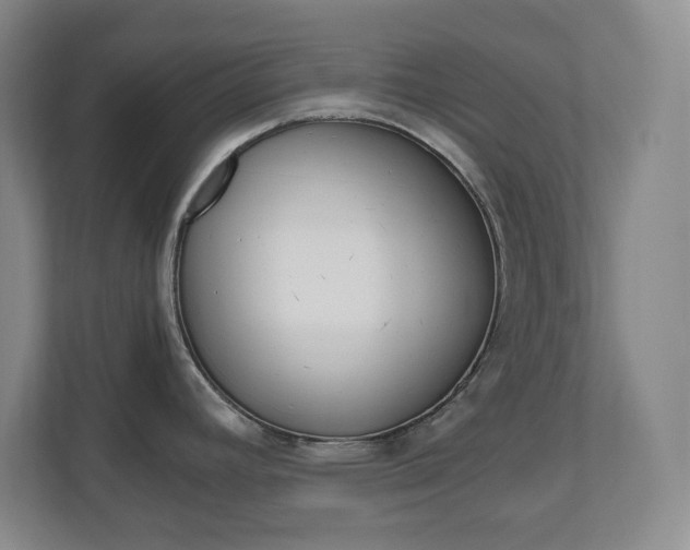 X0000110991392200906191101