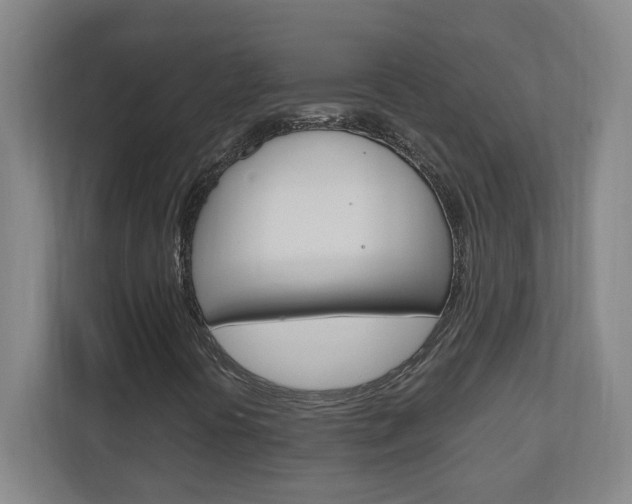 X0000110991394200906191101