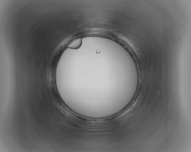 X0000110991403200906191101
