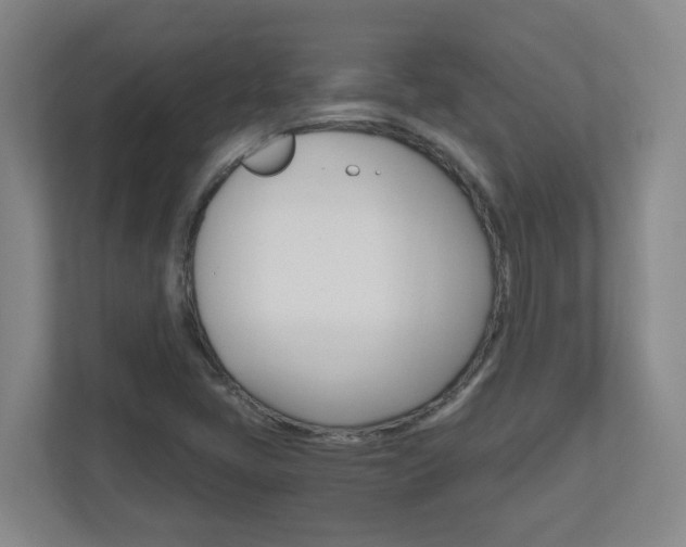 X0000110991405200906191101