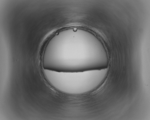 X0000110991406200906191101