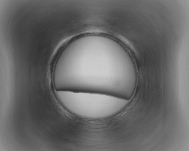 X0000110991408200906191101