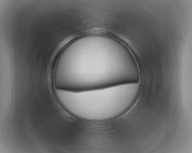 X0000110991410200906191101